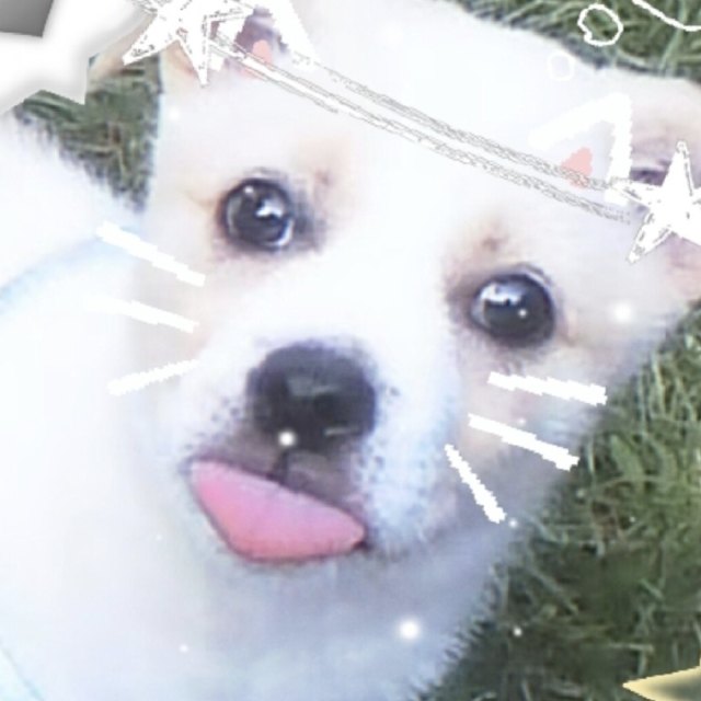 臜涊